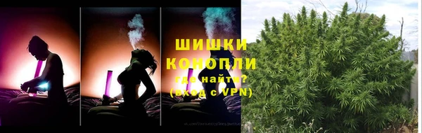 PSILOCYBIN Волоколамск