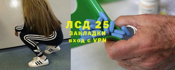 индика Бородино
