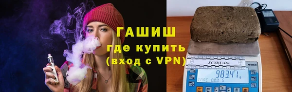индика Бородино