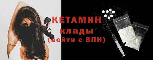 индика Бородино