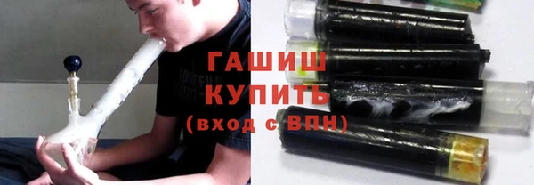 индика Бородино