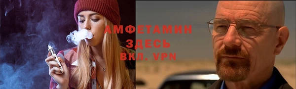 индика Бородино