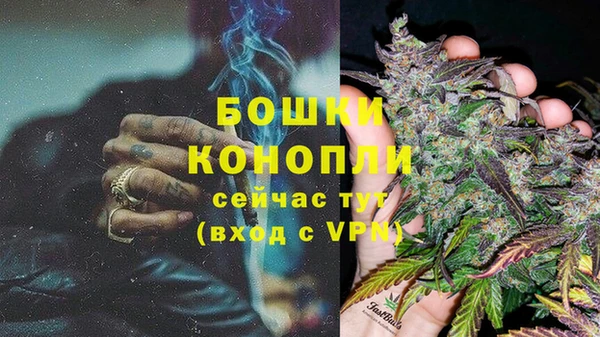 PSILOCYBIN Волоколамск