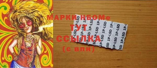 индика Бородино