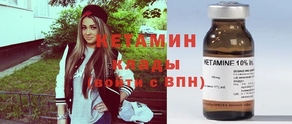 индика Бородино