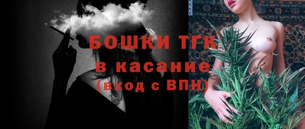 индика Бородино